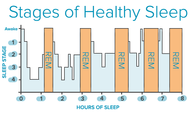 Stages-of-Sleep1